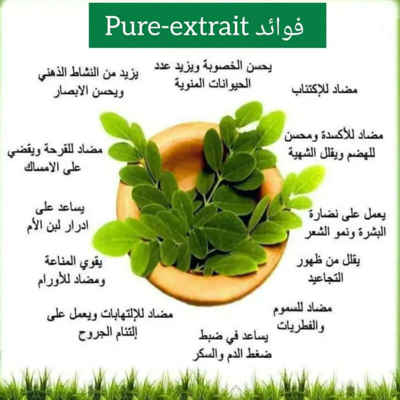 Pure extrait*10 - Ma boutique